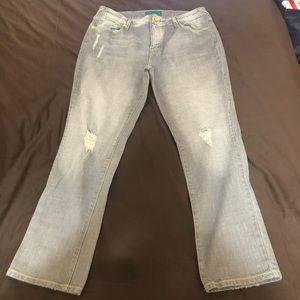 Womens Baby Phat Jeans